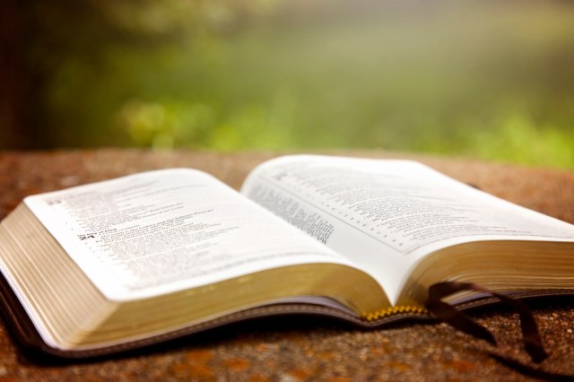 Exploring Faith Through Bible Studies: Discover Local Opportunities Near You